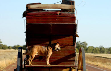 cob-and-co-longreach