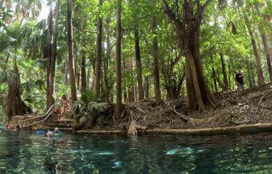 elsey_national_park_thermal_pool_650x250