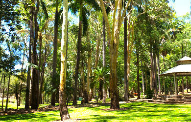 emerald-botanic-gardens