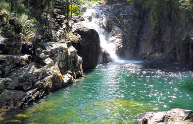eungella-national-park