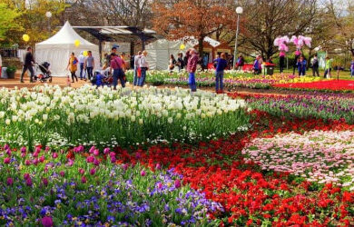 floriade-canberra
