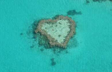 heart-reef_600x250