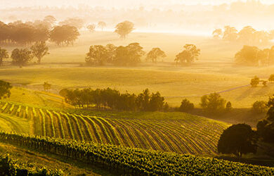 hunter-valley