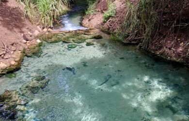 katherine-springs-600×250