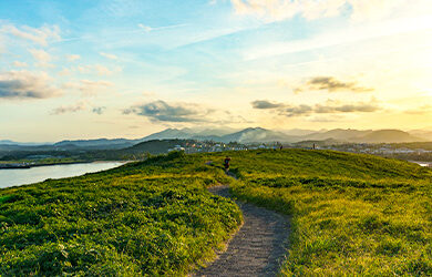 muttonbird-island-nature-reserve