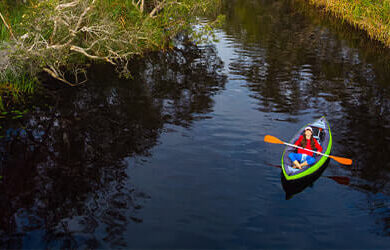 noosa_everglades_600x250