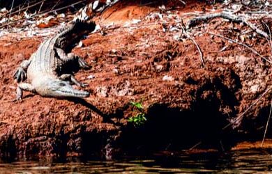 ord-river-kununurra