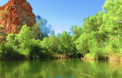 palm-springs-nature-reserve