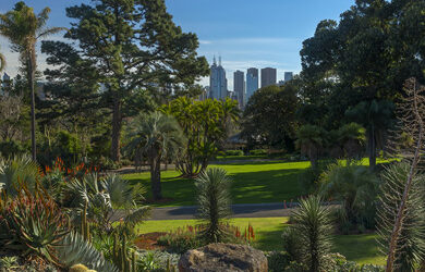 royal-botanic-gardens-victoria