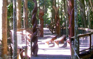 sea-acres-rainforest-centre