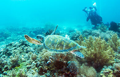 solitary-islands-marine-park