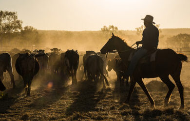 stockmans-hall-of-fame-longreach
