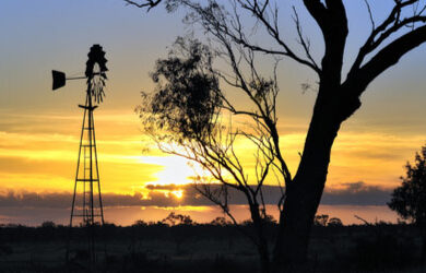 sunset-thomson-river-cruise