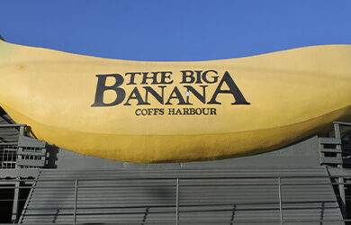 the-big-banana