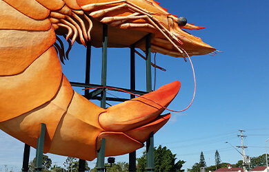the-big-prawn