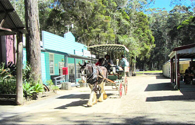 timbertown