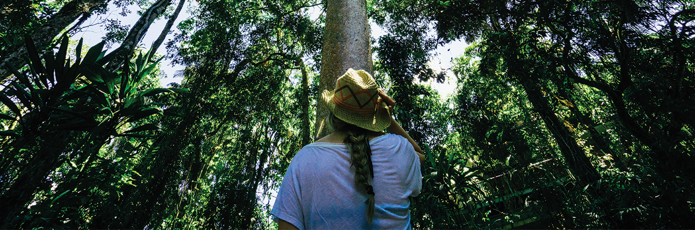 A woman looks up at a large tree in Australian bush.