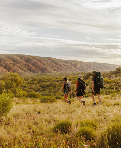Photo of three backpackers in the outback.